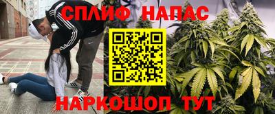 ПСИЛОЦИБИНОВЫЕ ГРИБЫ Белореченск