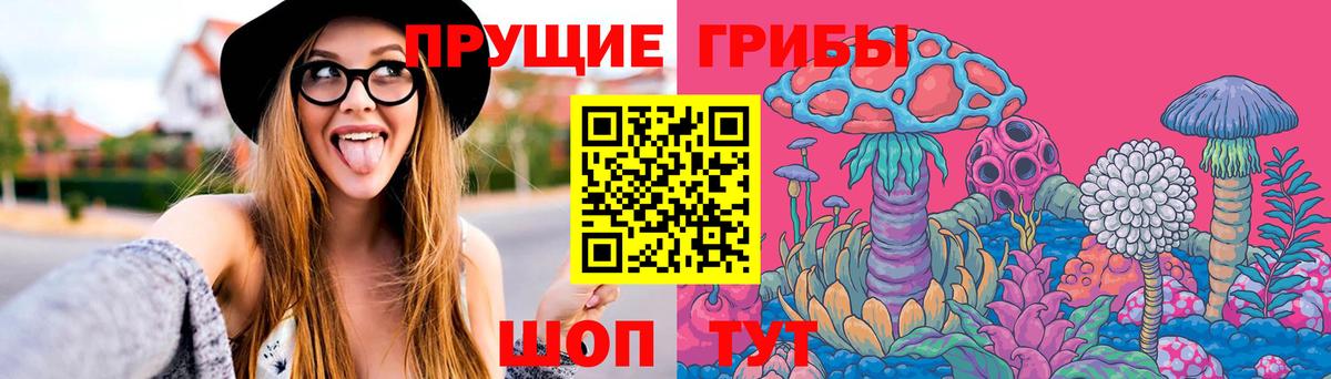 Галлюциногенные грибы MAGIC MUSHROOMS  наркотики  Вход с VPN  Ставрополь  Галлюциногенные грибы Magic Shrooms 