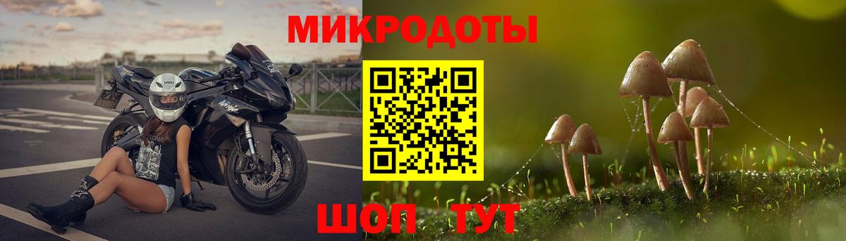 Псилоцибиновые грибы Magic Shrooms Ставрополь